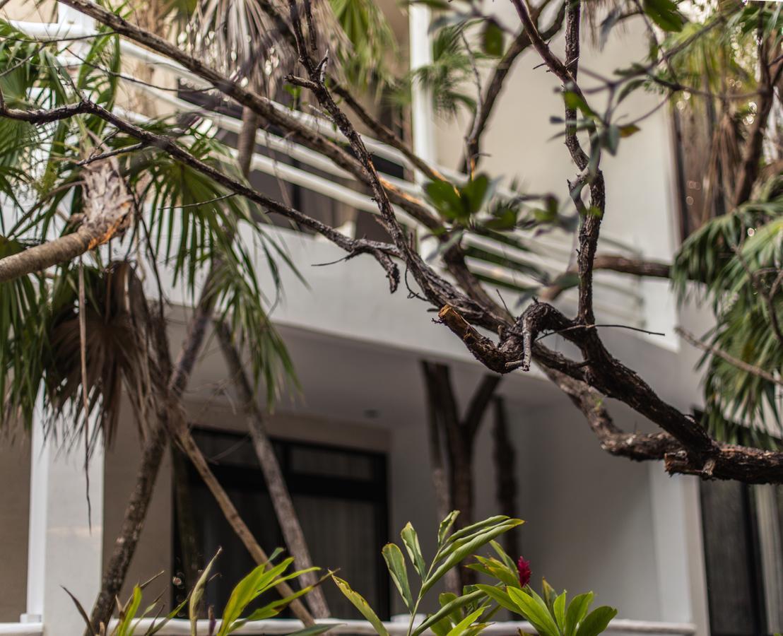 Casa Ambar Hotel & Boutique Tulum (Adults Only) Екстер'єр фото
